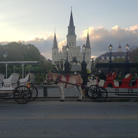 Share Show with Designer Bags, Wallets, Jewelry & Accessories. No Clothes Pls - Picture 12 of 15